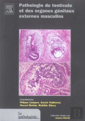 Pathologie Du Testicule Et Des Organes Genitaux Externes Masculins