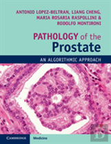 Pathology Of The Prostate