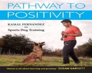 Pathway To Positivity