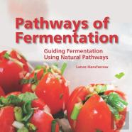 Pathways Of Fermentation