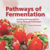 Pathways Of Fermentation