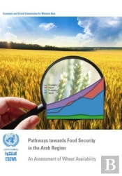 Pathways Towards Food Security In The Arab Region