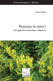 Patience, Le Sistre ! - Une Approche Minimaliste, Oulipienne