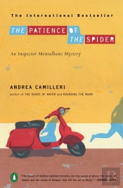 Patience Of The Spider