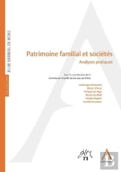 Patrimoine Familial Et Sociétés ; Analyses Pratiques