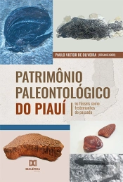 Patrimônio Paleontológico Do Piauí