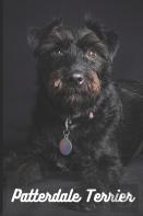 Patterdale Terrier