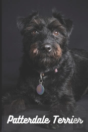 Patterdale Terrier