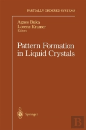 Pattern Formation In Liquid Crystals