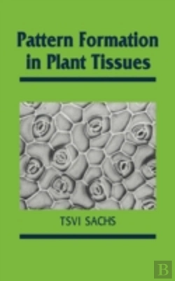 Bertrand.pt - Pattern Formation In Plant Tissues