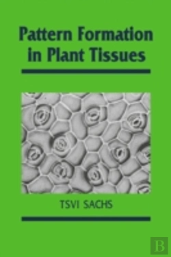 Bertrand.pt - Pattern Formation In Plant Tissues