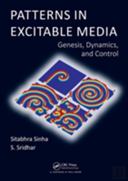 Bertrand.pt - Patterns In Excitable Media