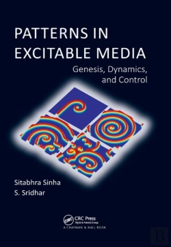 Bertrand.pt - Patterns In Excitable Media