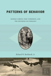 Patterns Of Behavior