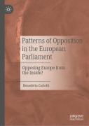 Patterns Of Opposition In The European Parliament