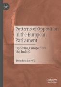 Patterns Of Opposition In The European Parliament