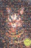 Paulino Viota Obra 1966-1982