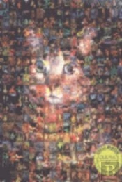 Paulino Viota Obra 1966-1982