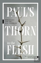 Paul`S Thorn In The Flesh Â€“ New Clues For An Old Problem