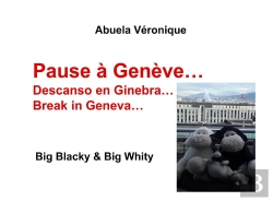 Bertrand.pt - Pause A Geneve