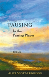 Pausing In The Passing Places