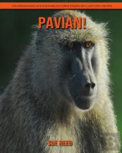 Pavian! Ein Padagogisches Kinderbuch Uber Pavian Mit Lustigen Fakten