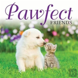 Bertrand.pt - Pawfect Friends