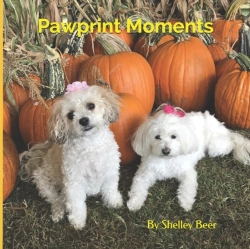 Bertrand.pt - Pawprint Moments