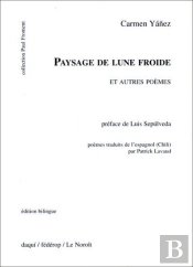 Paysage De Lune Froide