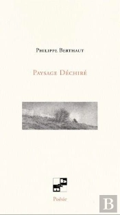 Paysage Dechire