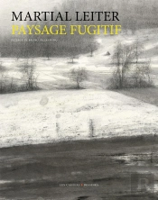 Paysage Fugitif