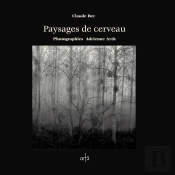 Paysages De Cerveau