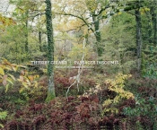 Paysages Insoumis