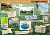 Paysages Sans Prairies, Vous Y Pensez Vraiment ?