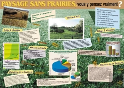 Bertrand.pt - Paysages Sans Prairies, Vous Y Pensez Vraiment ?