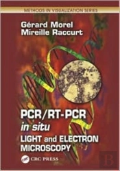 Pcr/Rt- Pcr In Situ