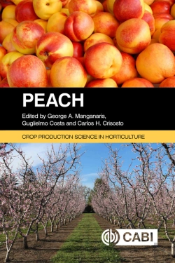 Bertrand.pt - Peach