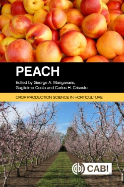 Bertrand.pt - Peach