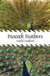 Peacock Feathers