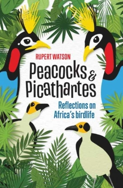 Bertrand.pt - Peacocks And Picathartes