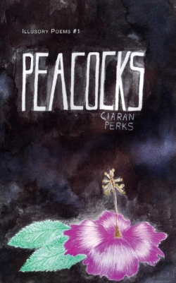 Bertrand.pt - Peacocks