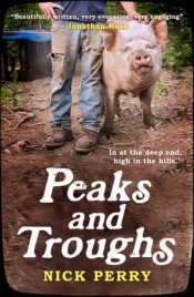 Peaks And Troughs