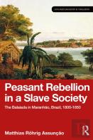 Peasant Rebellion In A Slave Society