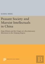 Peasant Society And Marxist Intellectuals In China