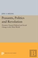 Peasants, Politics And Revolution