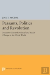Peasants, Politics And Revolution