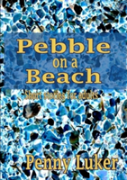 Pebble On The Beach