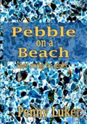 Pebble On The Beach