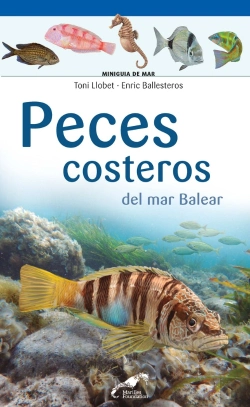 Bertrand.pt - Peces Costeros Del Mar Balear