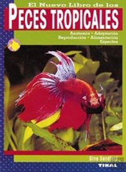 Bertrand.pt - Peces Tropicales